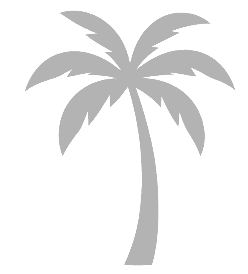 palm_right